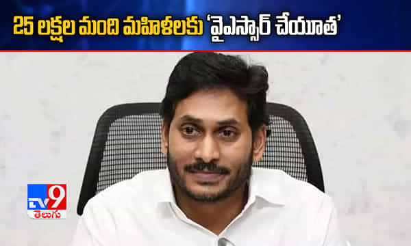 ఏపీ మహిళలకు గుడ్న్యూస్.. 25లక్షల మంది మహిళలకు వైఎస్సార్ చేయూత