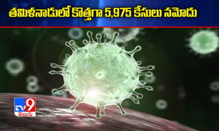 సింపుల్‌గా ఎకో ఫ్రెండ్లీ గణపతిని తయారు చేసిన నటి రంభ పిల్లలు