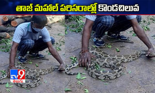 తమిళనాడులో 3.50 లక్షలకు చేరువగా కరోనా కేసులు