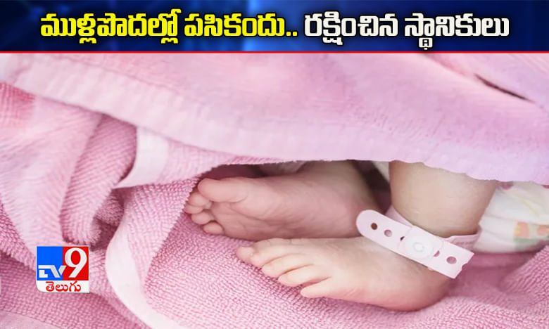 ముళ్ల పొదల్లో పసికందు.. రక్షించిన స్థానికులు