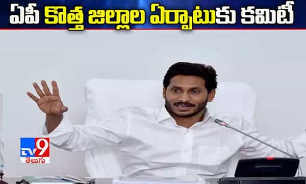 ఏపీలో కొత్త జిల్లాల ఏర్పాటుకు కమిటీ నియామకం