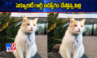 బ్రేకింగ్: ఎంపీ అవినాష్ రెడ్డికి కరోనా పాజిటివ్