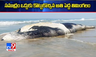 కోలుకున్న వారికి మళ్లీ కరోనా.. శాస్త్రవేత్తలు ఏమన్నారంటే