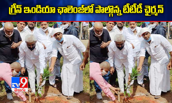 గ్రీన్ ఇండియా ఛాలెంజ్లో పాల్గొన్న టీటీడీ ఛైర్మన్ వైవీ సుబ్బారెడ్డి