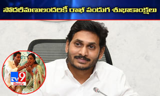ఏపీసీఆర్‌డీఏ స్థానంలో ఏఎంఆర్‌డీఏ