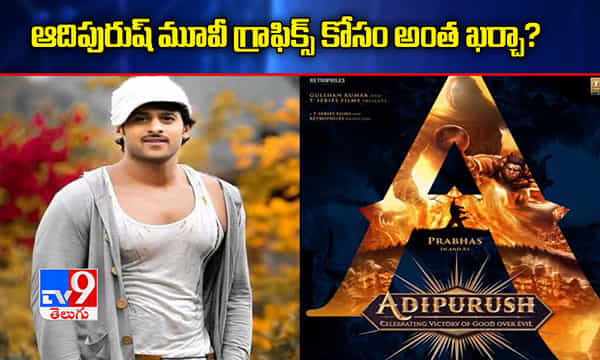 ప్రభాస్ ఆది పురుష్ గ్రాఫిక్స్ కోసం అంత ఖర్చా?