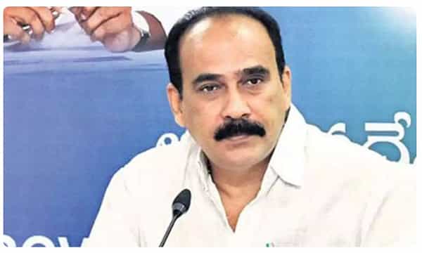 వైసీపీని ఇబ్బంది పెట్టేందుకే పంచాయతీ ఎన్నికలు.. ఆ విషయంలో వారి కుట్రలు సాగలేదన్న మంత్రి బాలినేని