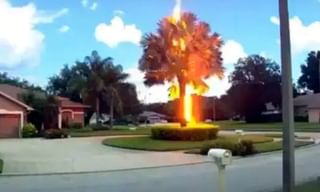 అంబులెన్స్‌కి కన్నం వేసి లోపల కూర్చున్నాడు.. ఈ లోపే