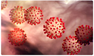 లాక్‌డౌన్‌ నిబంధనలను ఉల్లంఘించిన గర్భవతి అరెస్ట్‌ !