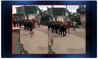 విలన్‌ రోల్స్ చేసేందుకు రెడీ అంటోన్న నివేదా