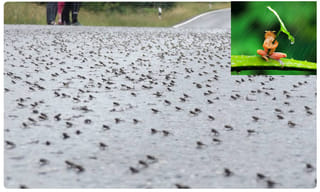 Breaking: సెప్టెంబర్ 30 వరకు ప్యాసింజర్ రైళ్లు రద్దు..