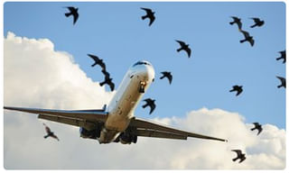 రాజస్తాన్ సంక్షోభం, గుజరాత్ కు 6 గురు బీజేపీ ఎమ్మెల్యేల తరలింపు