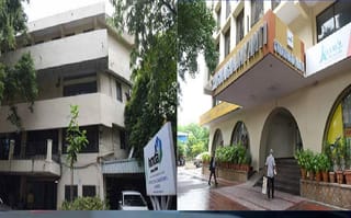 చైనా మరో కీలక నిర్ణయం.. న్యూజీలాండ్ తో ఒప్పందం రద్దు