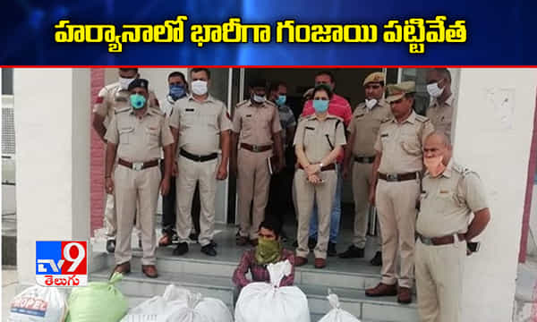హర్యానాలో భారీగా గంజాయి పట్టివేత.. ముగ్గురు అరెస్ట్