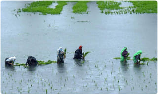 అప్పుడు ఎన్టీఆర్, ఇప్పుడు జగన్ : జేసీ ప్రభాకర్‌రెడ్డి ఇంట్ర‌స్టింగ్ కామెంట్స్