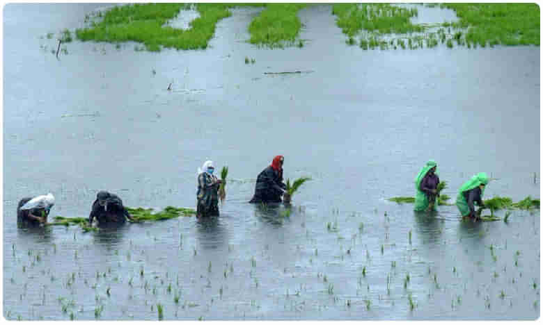 కేరళలో భారీ వర్షాలు.. ఆ మూడు జిల్లాల్లో రెడ్ అలర్ట్!