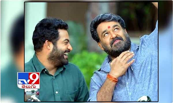 మరోసారి కలిసి నటించనున్న మోహల్లాల్, ఎన్టీఆర్ !