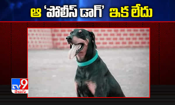 365 కేసుల ఛేదనలో తోడ్పడిన ఆ పోలీస్ డాగ్ ఇక లేదు