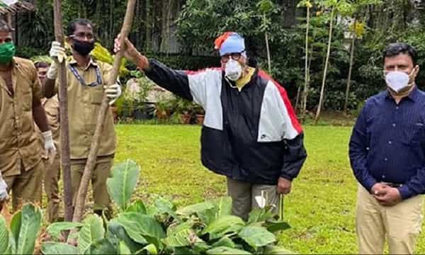 అమ్మకు ప్రేమతో.. ‘గుల్మోహర్’మొక్కను నాటిన బిగ్ బీ