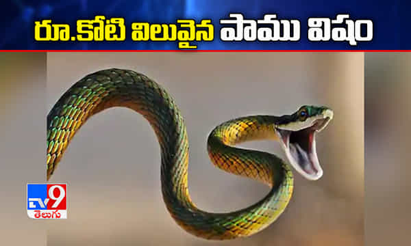 రూ.కోటి విలువైన పాము విషం పట్టివేత, ఇద్దరి అరెస్ట్