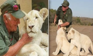 నూతన్ నాయుడు కేసులో అరెస్టులు షురూ