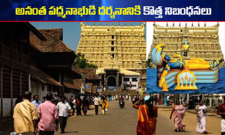 తుపాకీతో కాల్చి పిల్లిని చంపేశారు