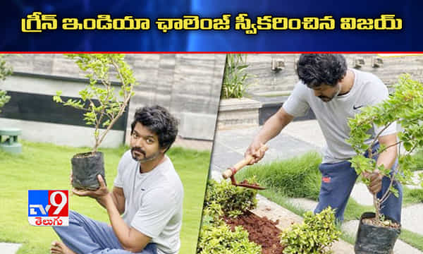 మహేష్ ఛాలెంజ్ను స్వీకరించి మొక్కలు నాటిన ఇళయథలపతి విజయ్