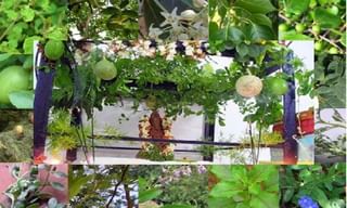 Breaking News : జాతీయ ఉత్తమ ఉపాధ్యాయ అవార్డులు దక్కింది వీరికే