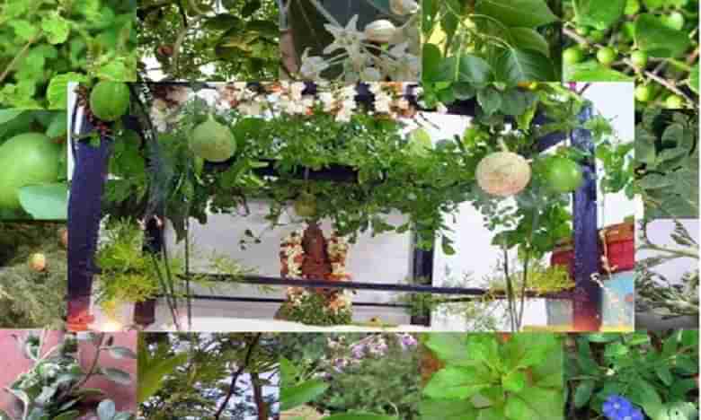 గణపతిని ఈ 21 ఆకులతో పూజించాలి