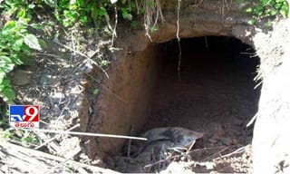 రెబల్ స్టార్ చేపలపులుసు