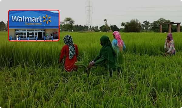కరోనా కాలంలో.. రైతులకు వాల్మార్ట్ అండ..!