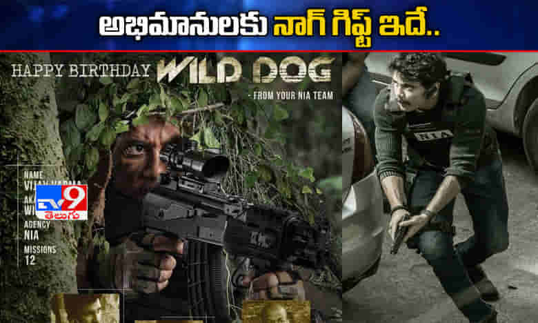 ఫ్యాన్స్కు మన్మథుడి సర్ప్రైజింగ్ గిఫ్ట్