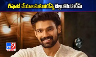 దర్శకుడిని మనువాడిన ‘కృష్ణ అండ్ హిజ్ లీల’ భామ