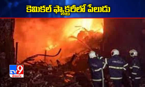 కెమికల్ ఫ్యాక్టరీలో భారీ పేలుడు.. ఇద్దరు మృతి