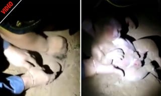 ఏపీలో కొత్త ‘ఇండస్ట్రియల్‌ పాలసీ’ వచ్చేసింది