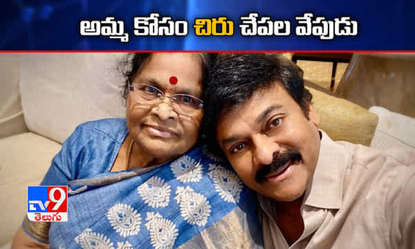 చేపల వేపుడు ఎలా చేయాలంటే.. చిరు వీడియో చూశారా