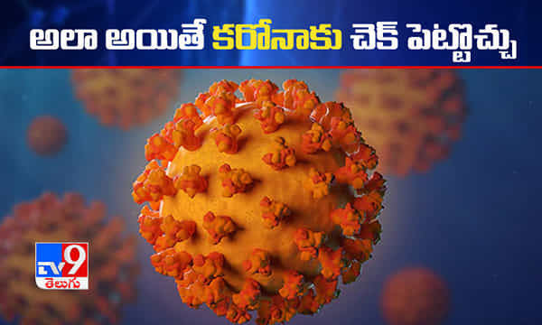 ఆ దిశగా పరిశోధనలు చేస్తే కరోనాను నాశనం చేయొచ్చు