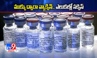 ఆప్కో మాజీ చైర్మన్ గుజ్జల కేసులో దూకుడు పెంచిన సీఐడీ