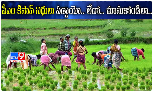 పీఎం కిసాన్ సొమ్ము రూ. 2000 పడ్డాయో.. లేదో చెక్ చేసుకోండిలా!