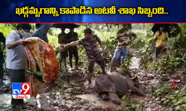 ఖడ్గమృగాన్ని కాపాడిన జంతు సంరక్షణ అధికారులు