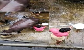 ఒడిషాలో భారీగా గంజాయి పట్టివేత