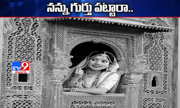 రాజస్థాన్ మహారాణి సాయిపల్లవి