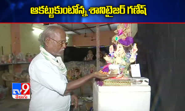 Sanitiser Ganesh: శానిటైజర్ గణేష్ని చూశారా?
