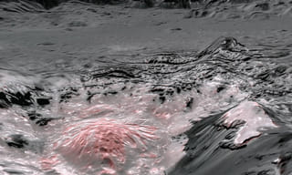 ‘పుష్ప’ సినిమాలో స్పెషల్ సాంగ్ కోసం సాహో బ్యూటీ.?