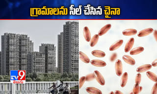 యూపీలో మరో గ్యాంగ్‌స్టర్ హతం!