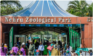 ఆన్‌లైన్‌ గేమింగ్‌ చట్టంలో సవరణలు.. ఆర్డినెన్స్‌ జారీ