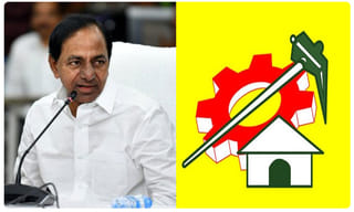 స్విమ్మింగ్ పూల్‌లో సారా.. పుస్తకం చదువుతూ ఇలా..