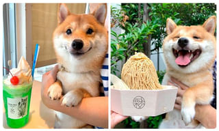 ఏపీ డీఎస్సీ-2018 అభ్యర్థులకు శుభవార్త.. నియామకాల తేదీ ఖరారు