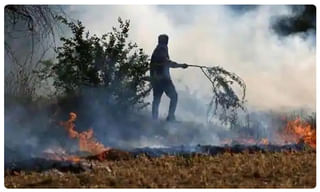 టీకా క్లినికల్ ట్రయల్స్‌పై ఆస్ట్రాజెనెకా బ్లూప్రింట్‌ విడుదల