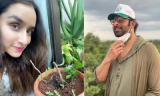 బిగ్ బాస్ సీజన్ 4 : ఫస్ట్ ఎపిసోడ్ కు అదిరిపోయే రేటింగ్ !